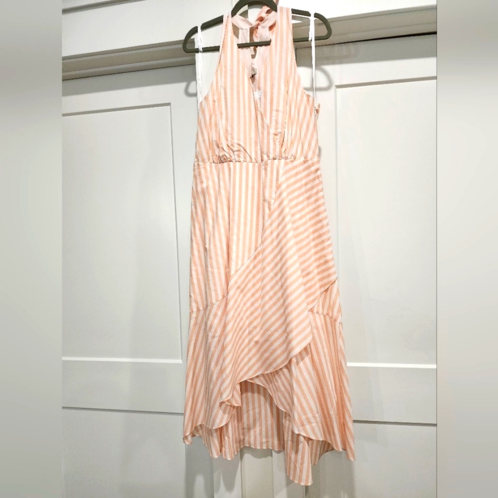 Cremeux size 10 dress